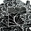 Black and white floral design with a quote by Albert Einstein on a textured background