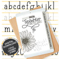 Cover of Typewriter Lettering Guide featuring a vintage-inspired hand lettering style for Procreate or print use