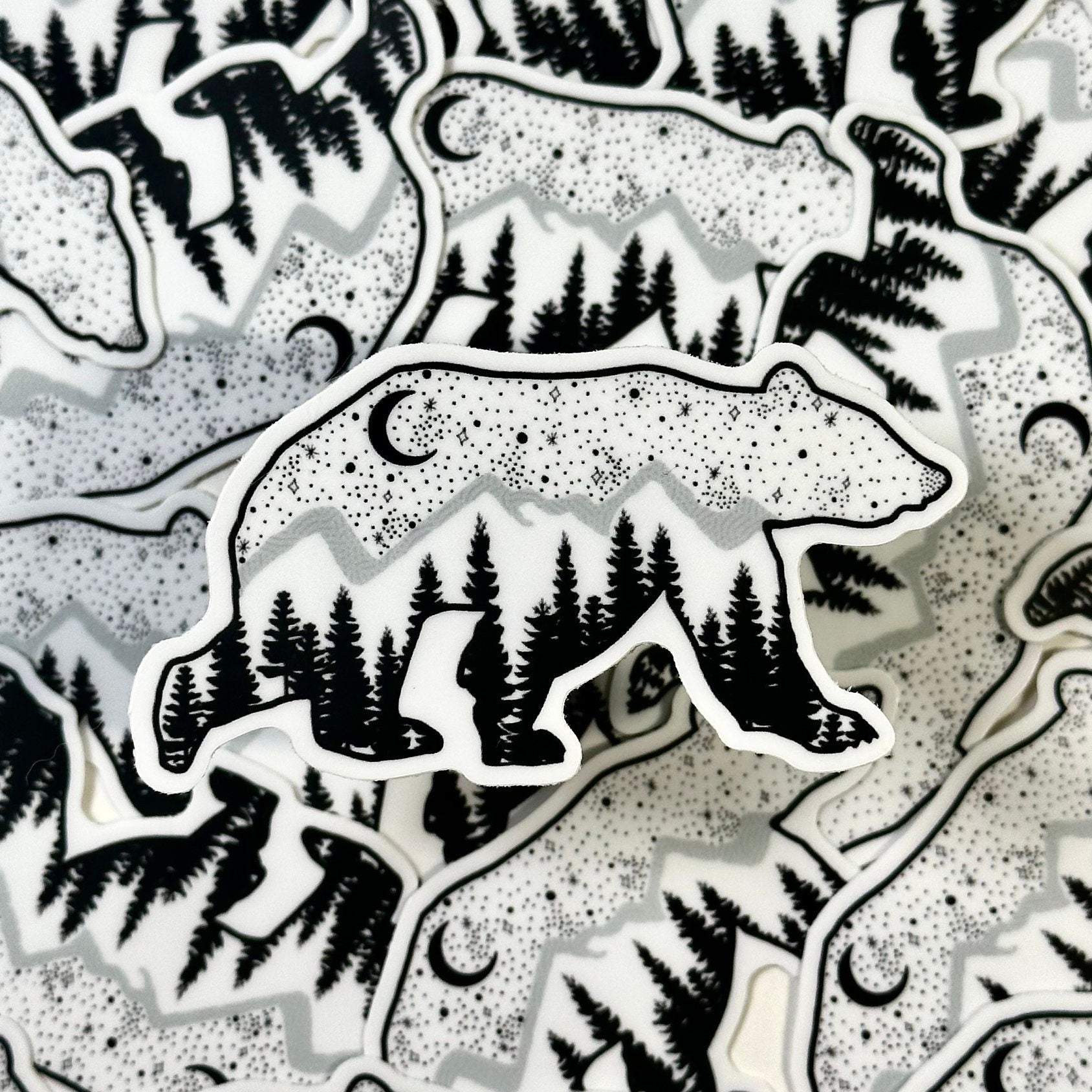 astronomy and black and white bear in nature