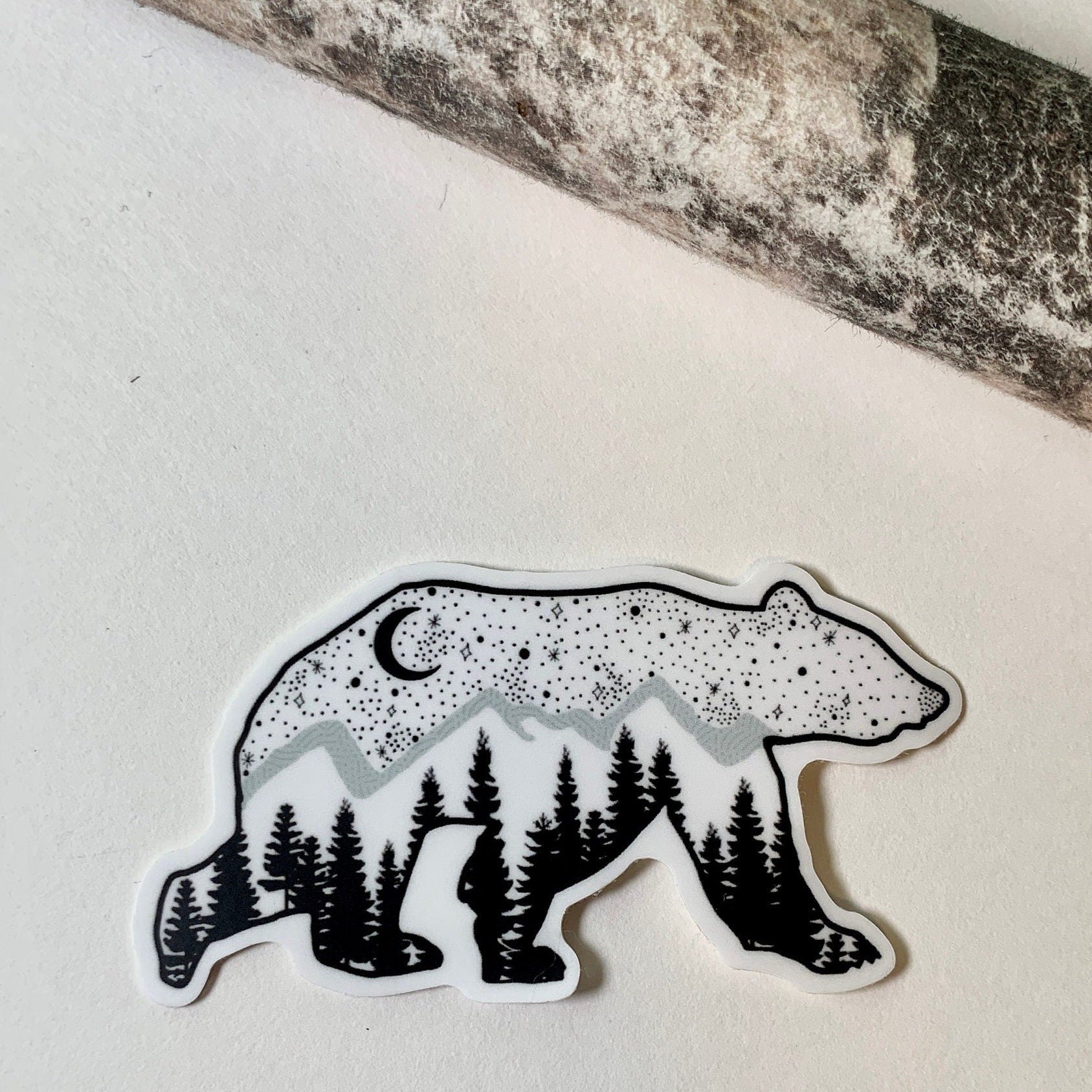 black and white bear with a night sky